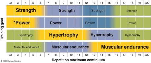 The Weightlifting Rep-Range Rule Is a Myth. Here's How to Train